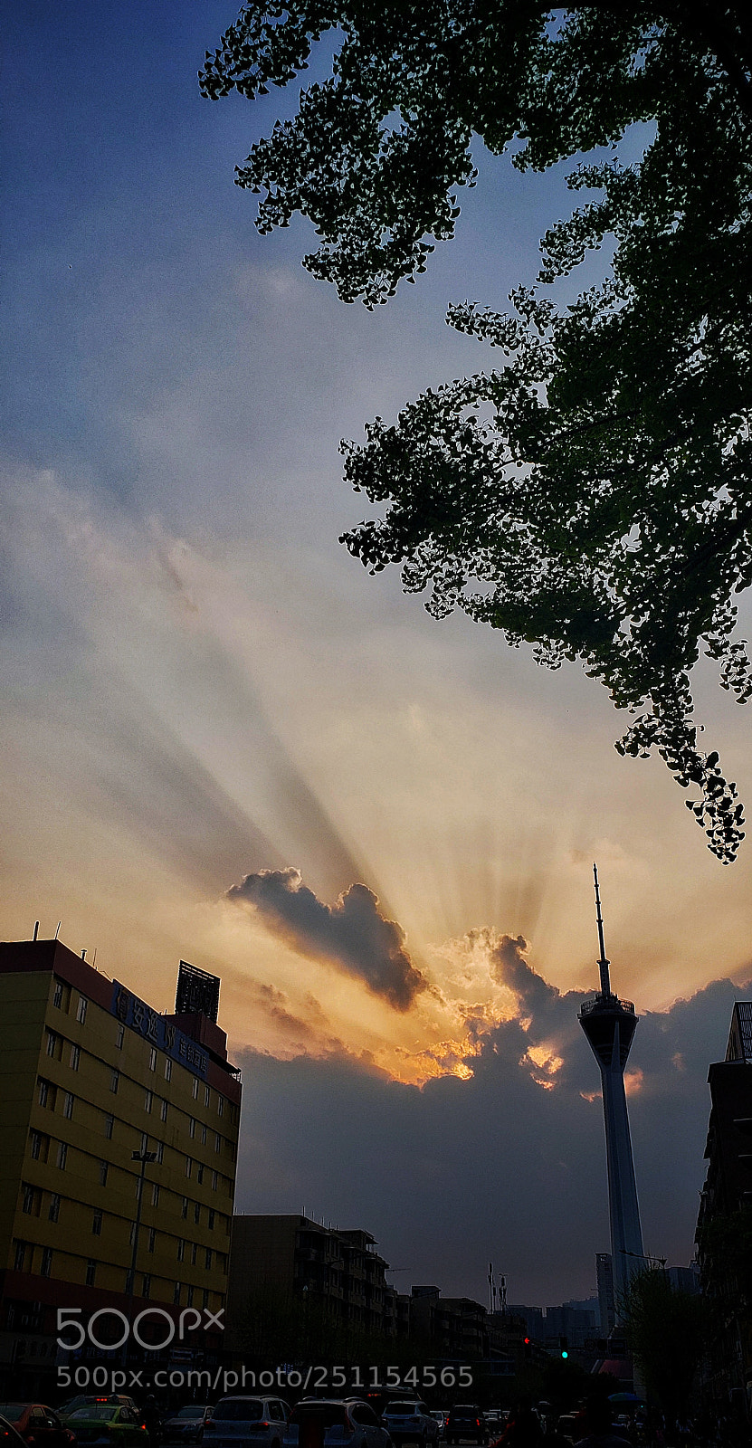 Samsung Galaxy S9+ sample photo. Untitled photography