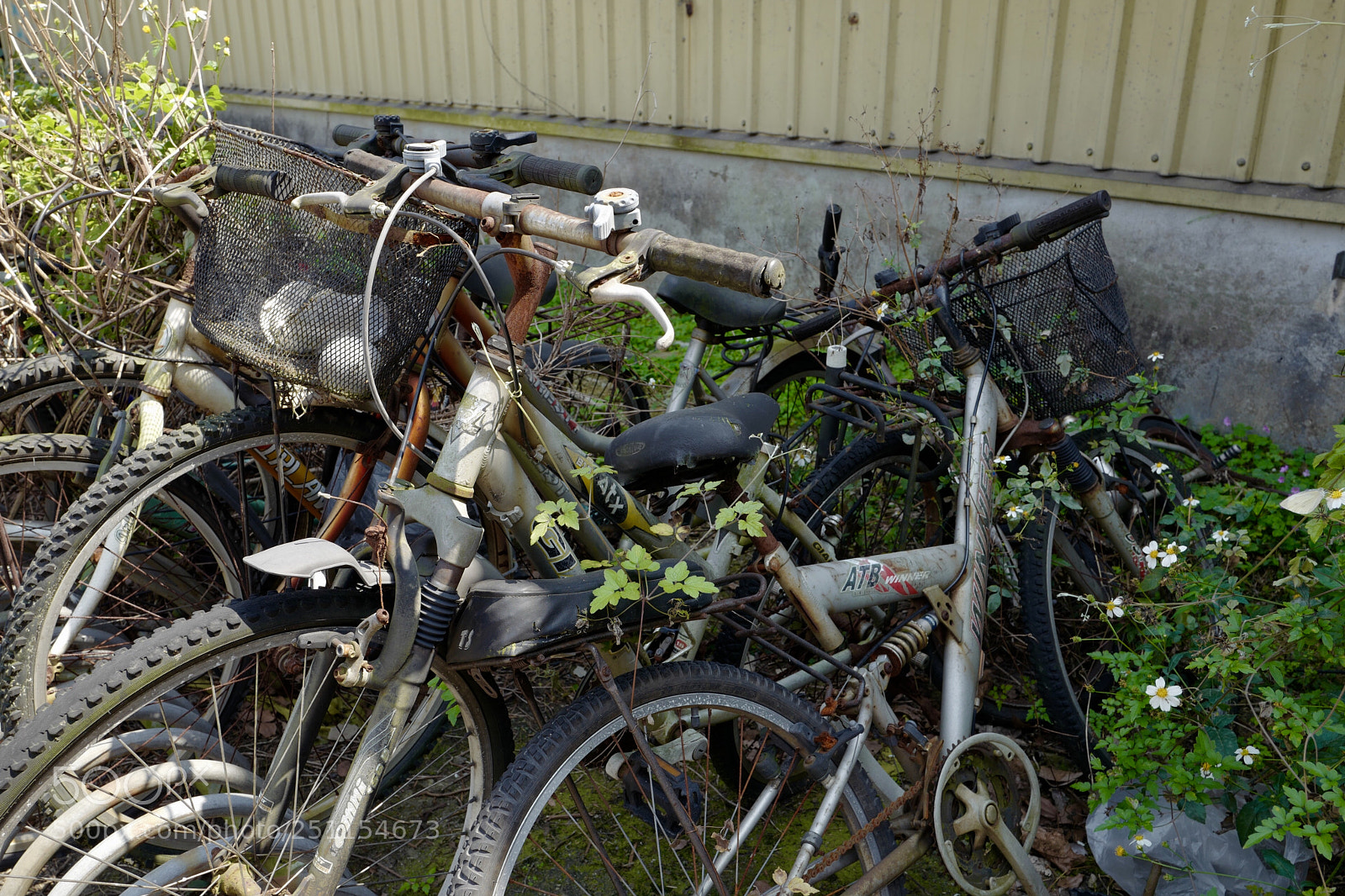 Leica Q (Typ 116) sample photo. 是誰丟了你們，還是你們自己不想回去了 photography