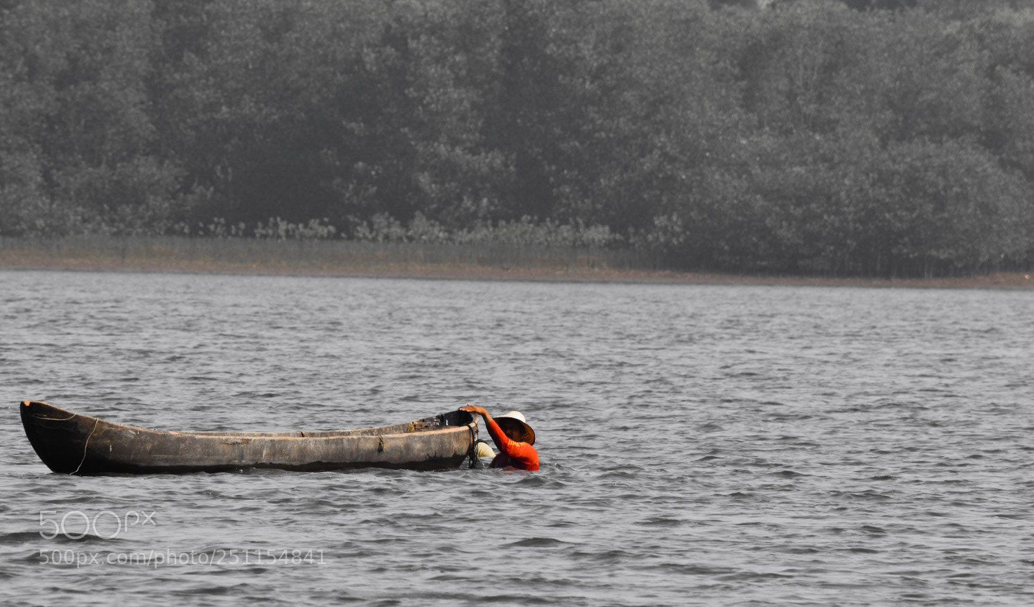 Nikon D5600 sample photo. Grab a handful photography