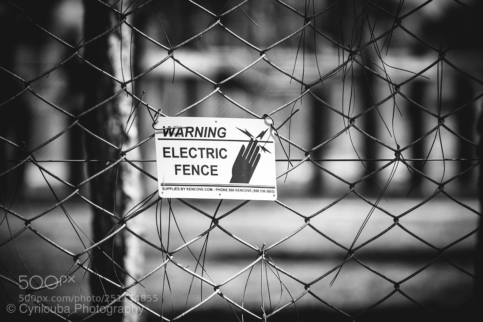 Nikon D5500 sample photo. Electric fence  photography