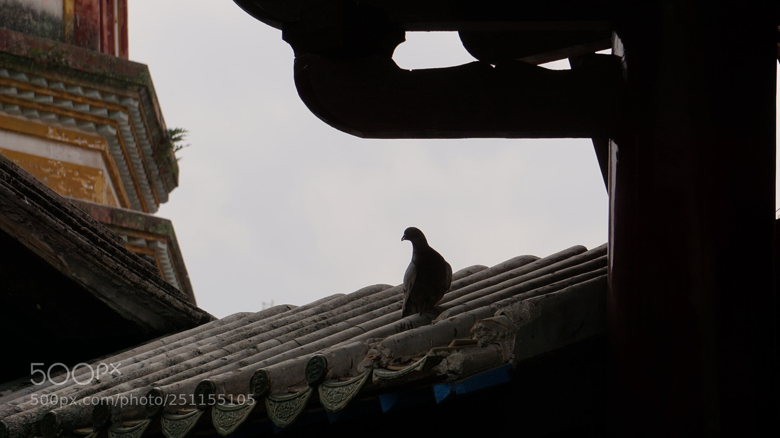 Sony a6000 sample photo. Alone photography