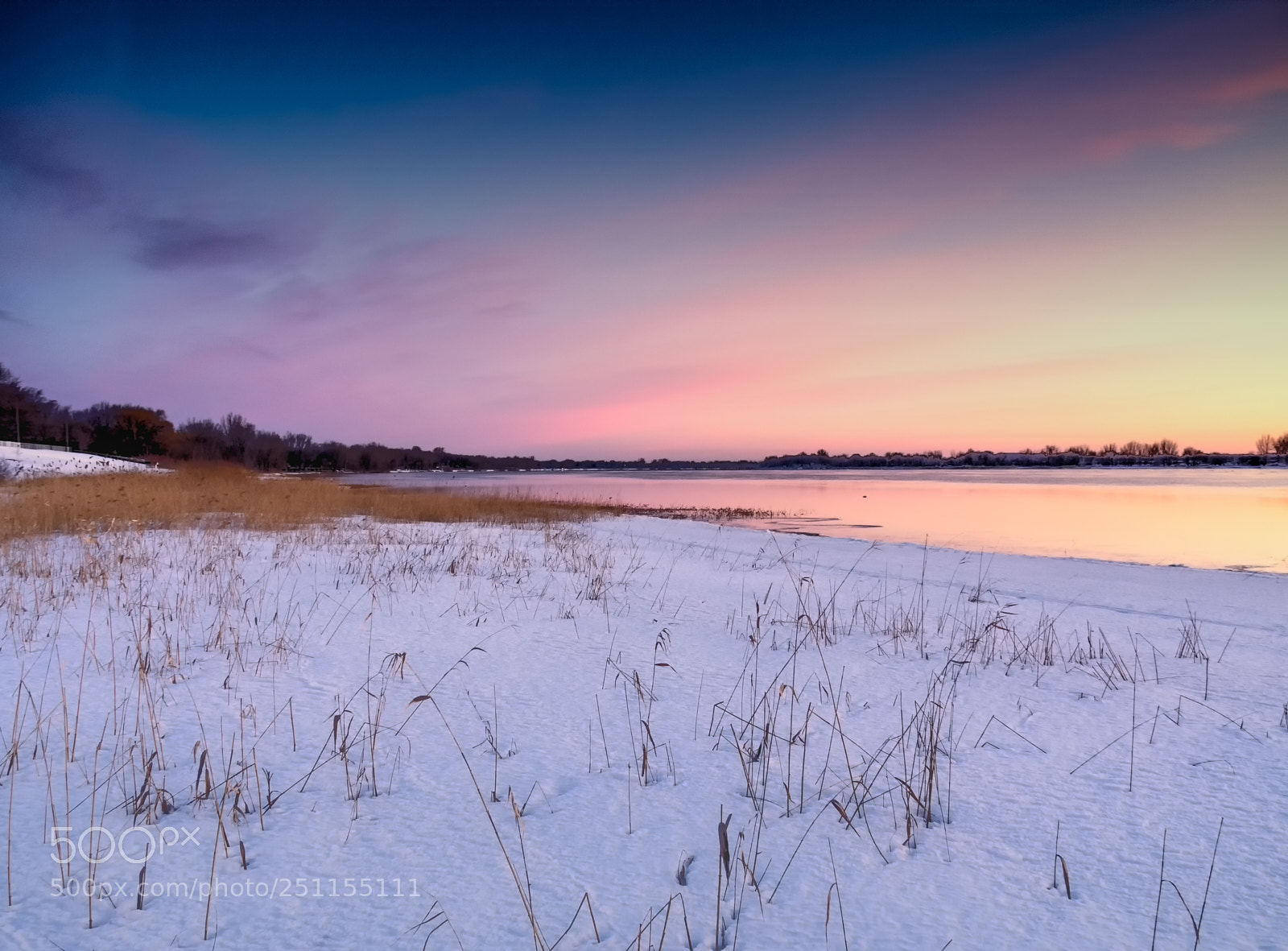 Olympus OM-D E-M5 II sample photo. Golden dawn photography