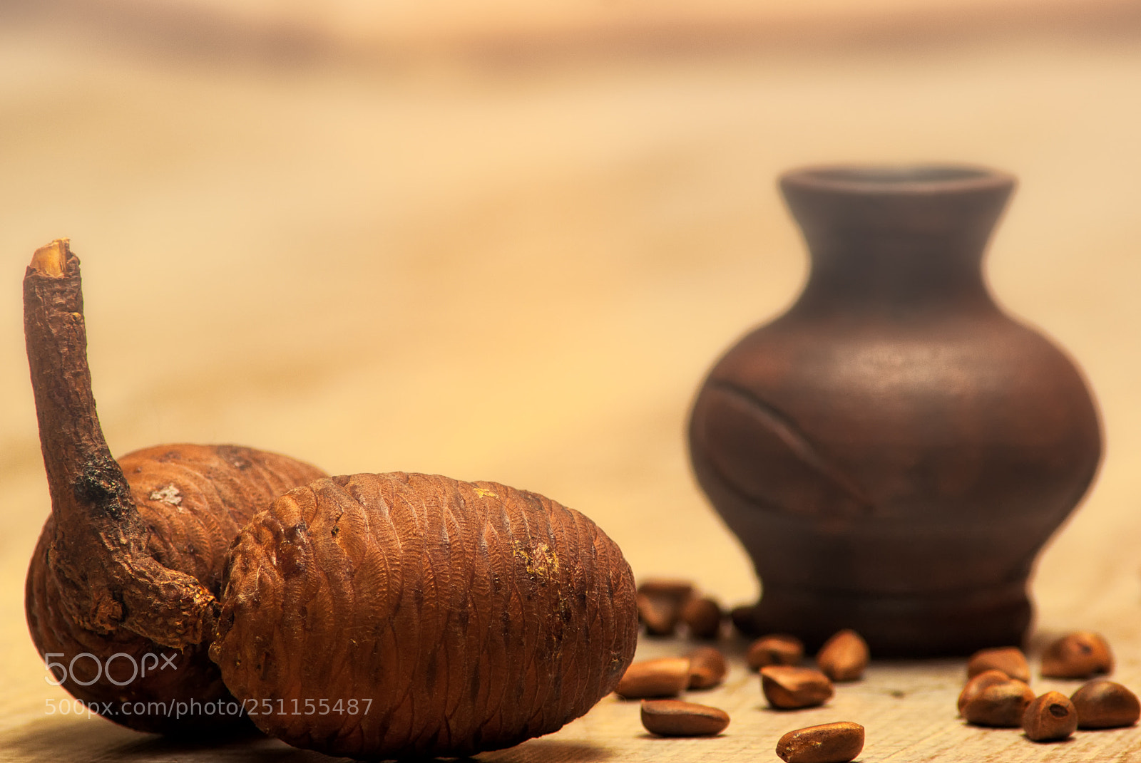 Sony Alpha DSLR-A230 sample photo. Pastel photography