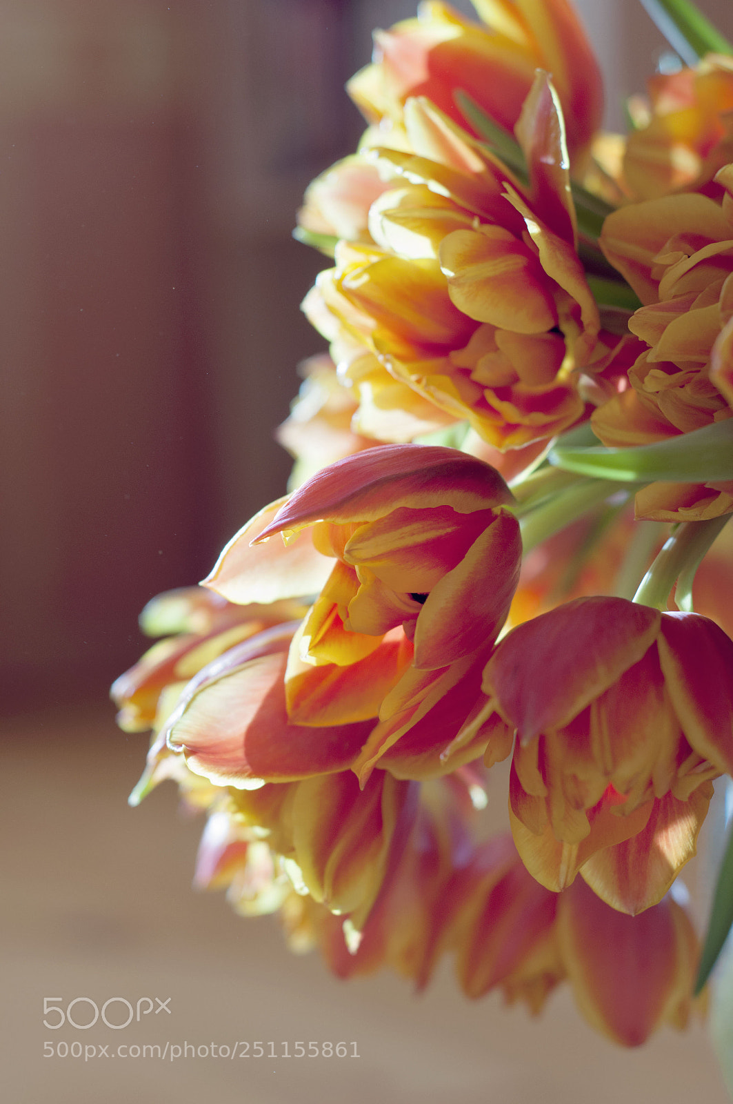 Nikon D90 sample photo. Spring photography