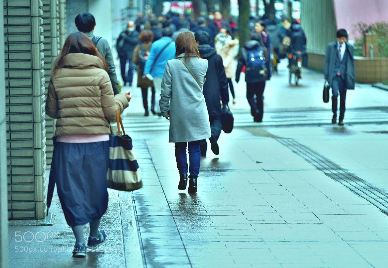 Fujifilm X-T2 sample photo. Untitled photography