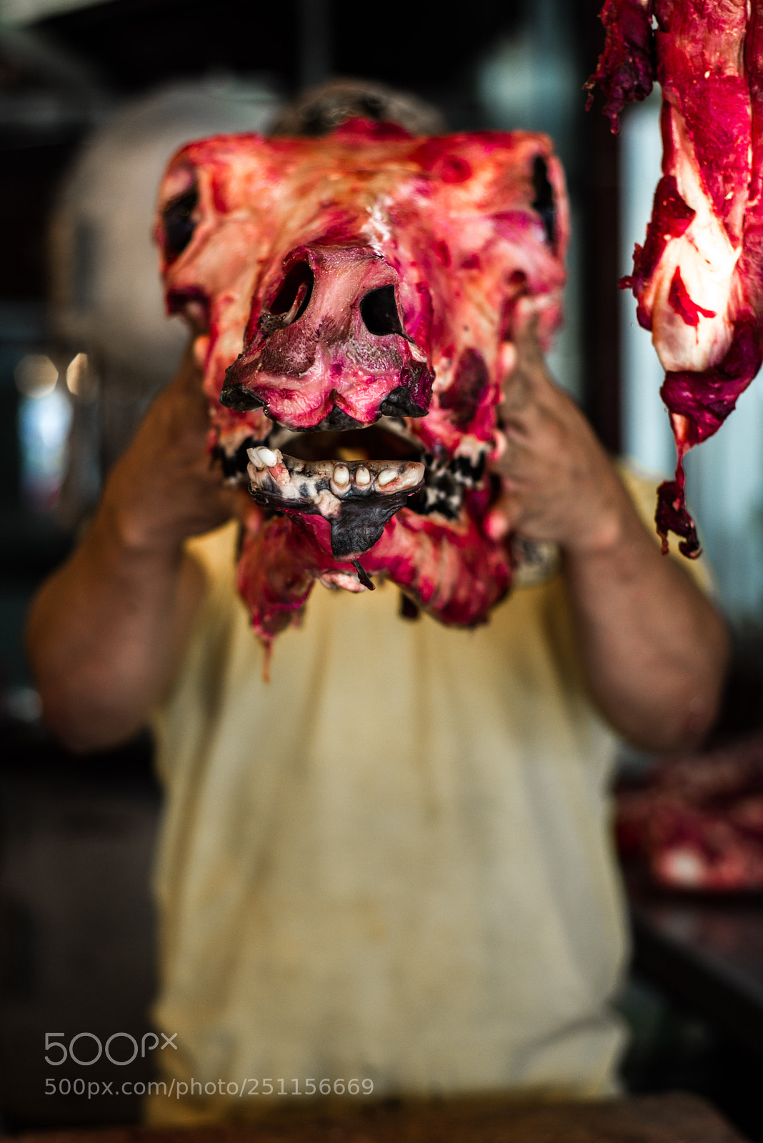 Nikon D800 sample photo. Raw meat photography