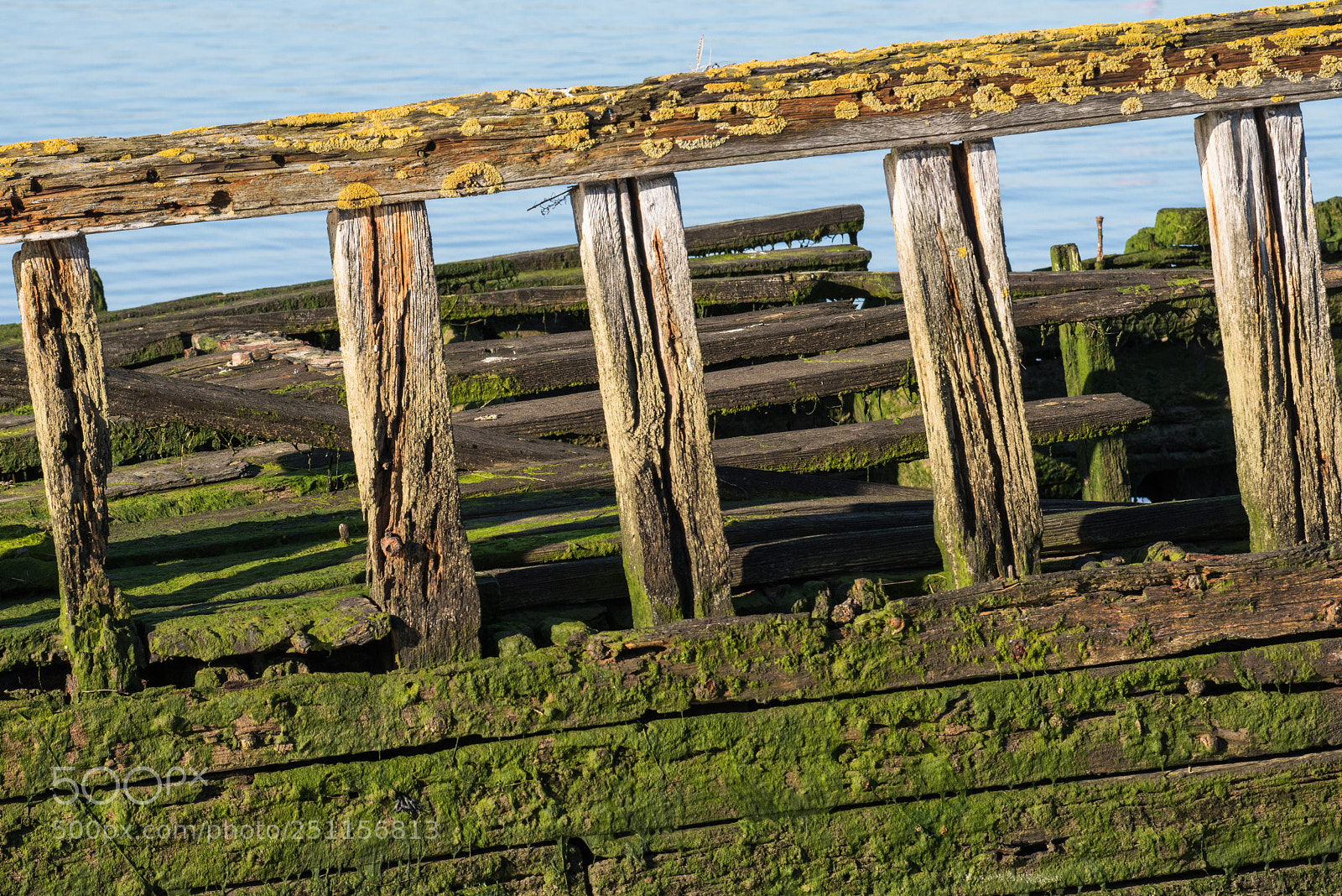 Nikon D810 sample photo. Tollesbury wreck photography