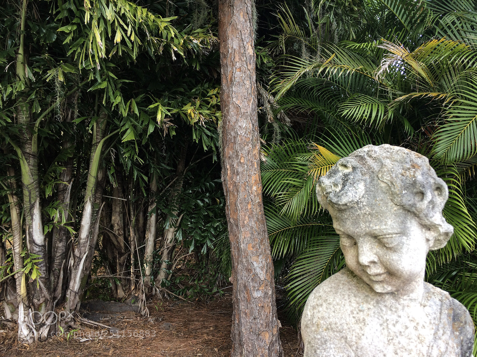 Apple iPhone 5s sample photo. Img 9984 ringling museum photography