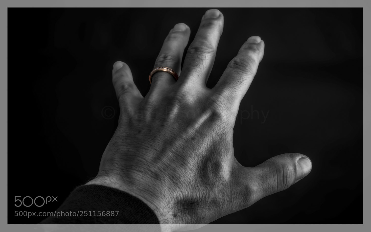 Nikon D750 sample photo. One ring to rule photography