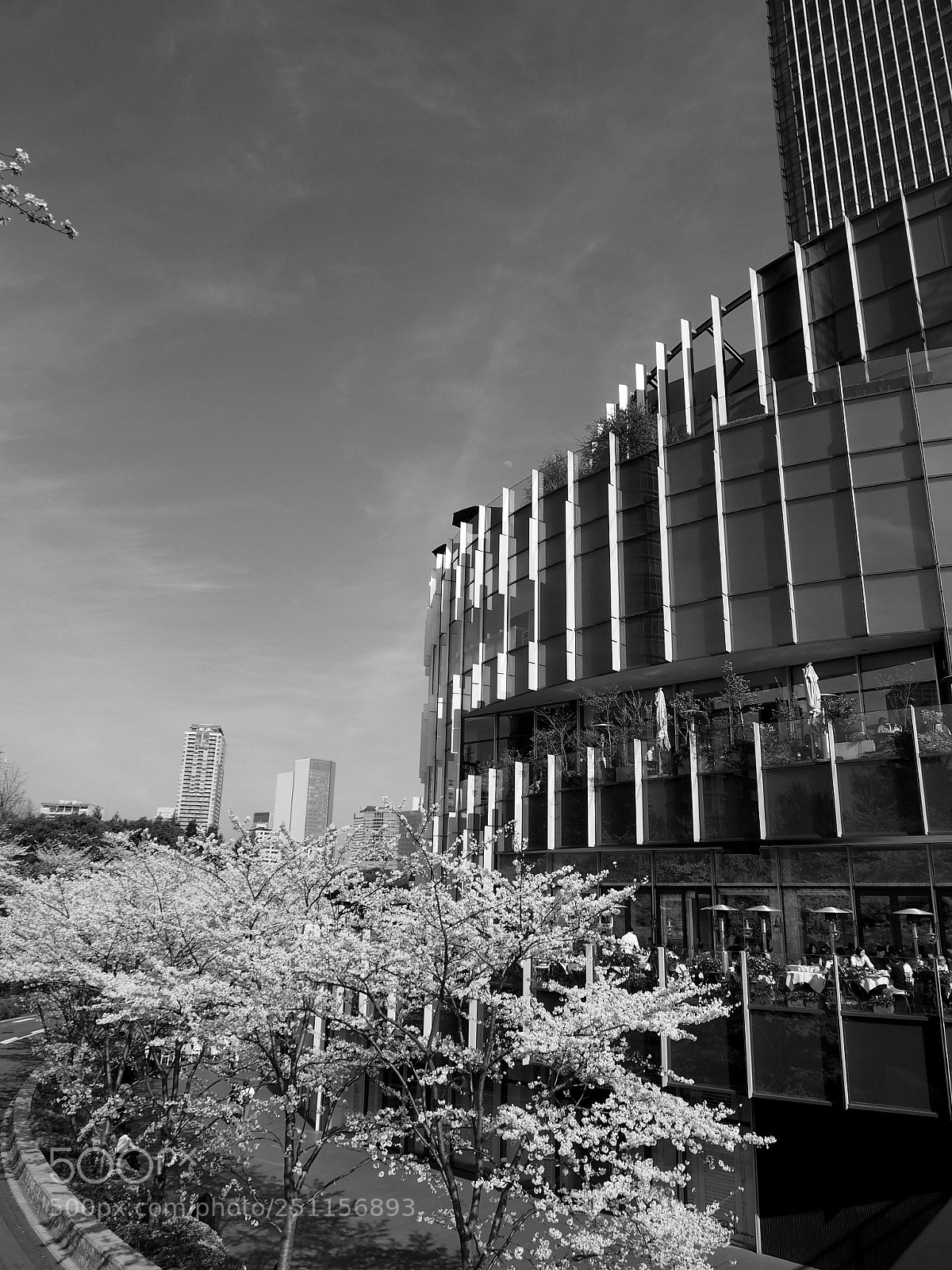 Olympus OM-D E-M5 sample photo. Tokyo japan photography
