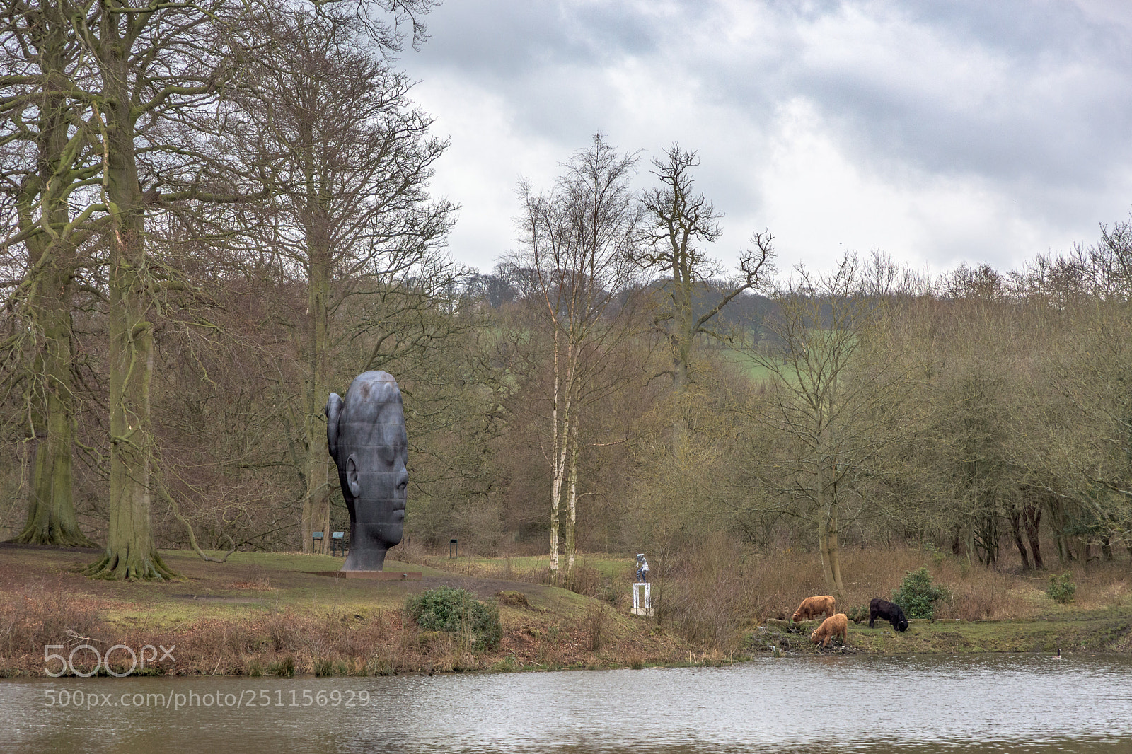 Nikon D7200 sample photo. Sculpture and highland cattle photography