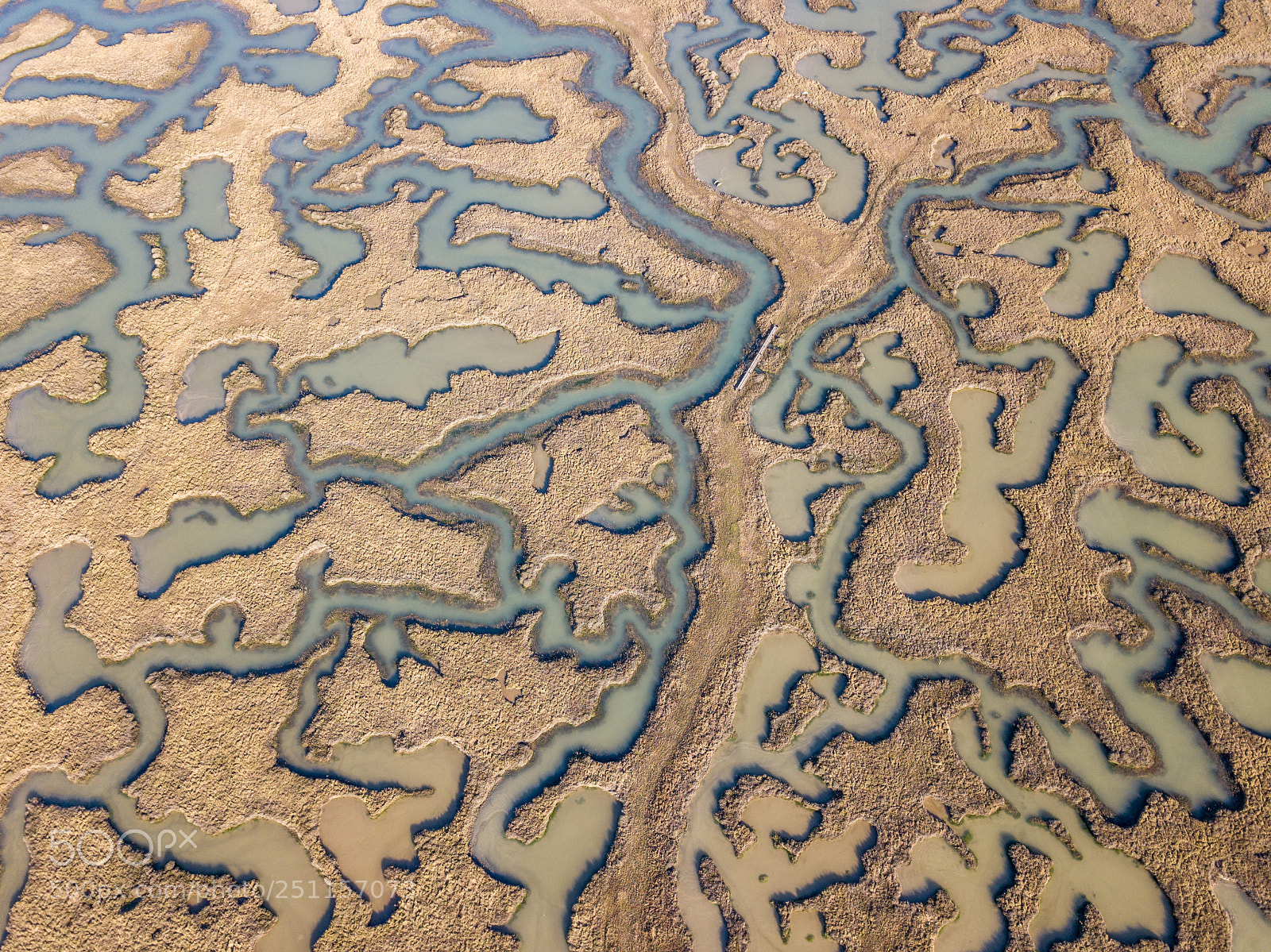 DJI FC220 sample photo. Tollesbury salt marshes #2 photography