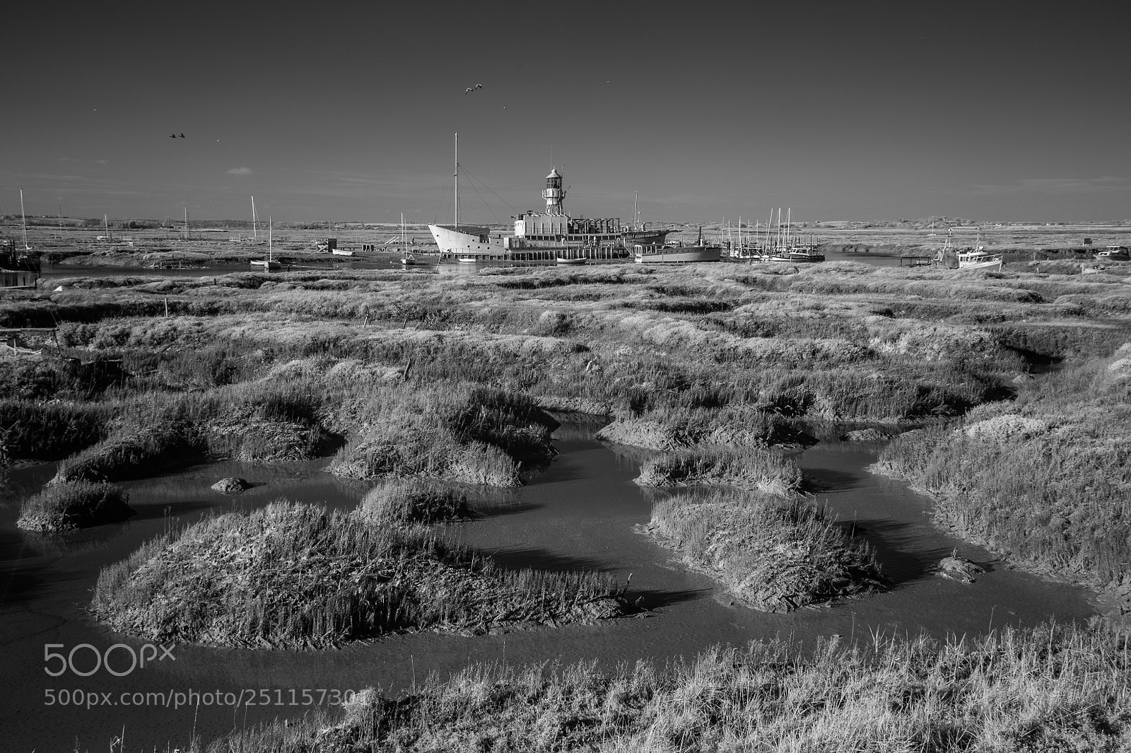 Nikon D700 sample photo. Over the salt marshes photography