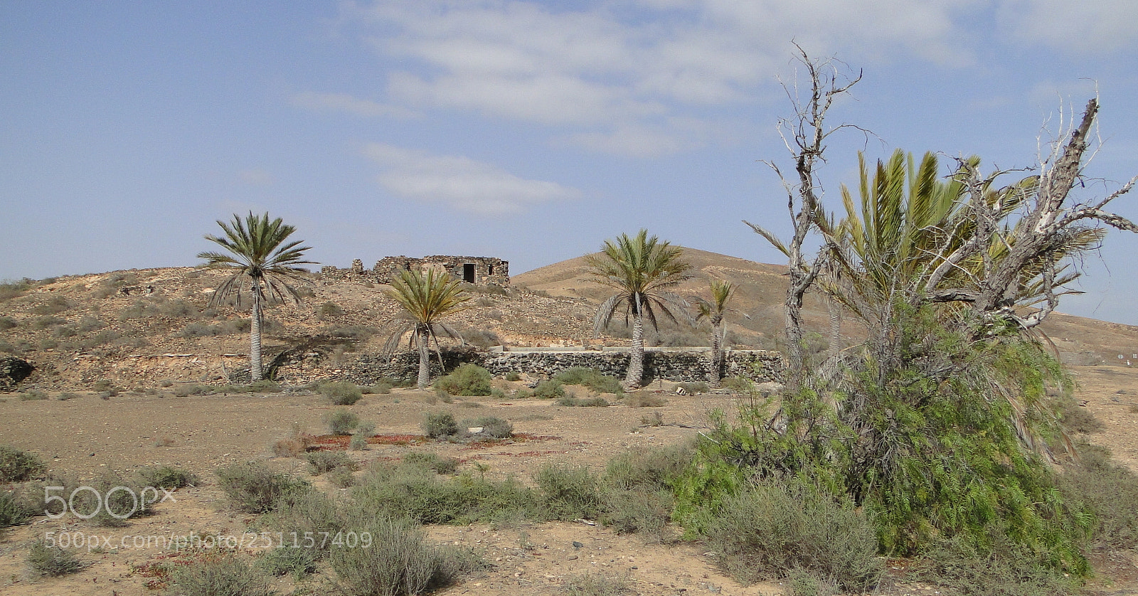 Sony Cyber-shot DSC-HX1 sample photo. Dsc photography