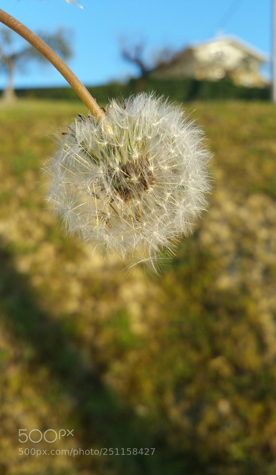 Samsung Galaxy Note4 sample photo. Untitled photography