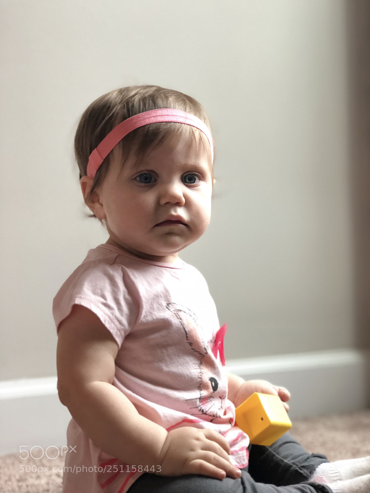 Apple iPhone 8 Plus sample photo. Isla rose photography