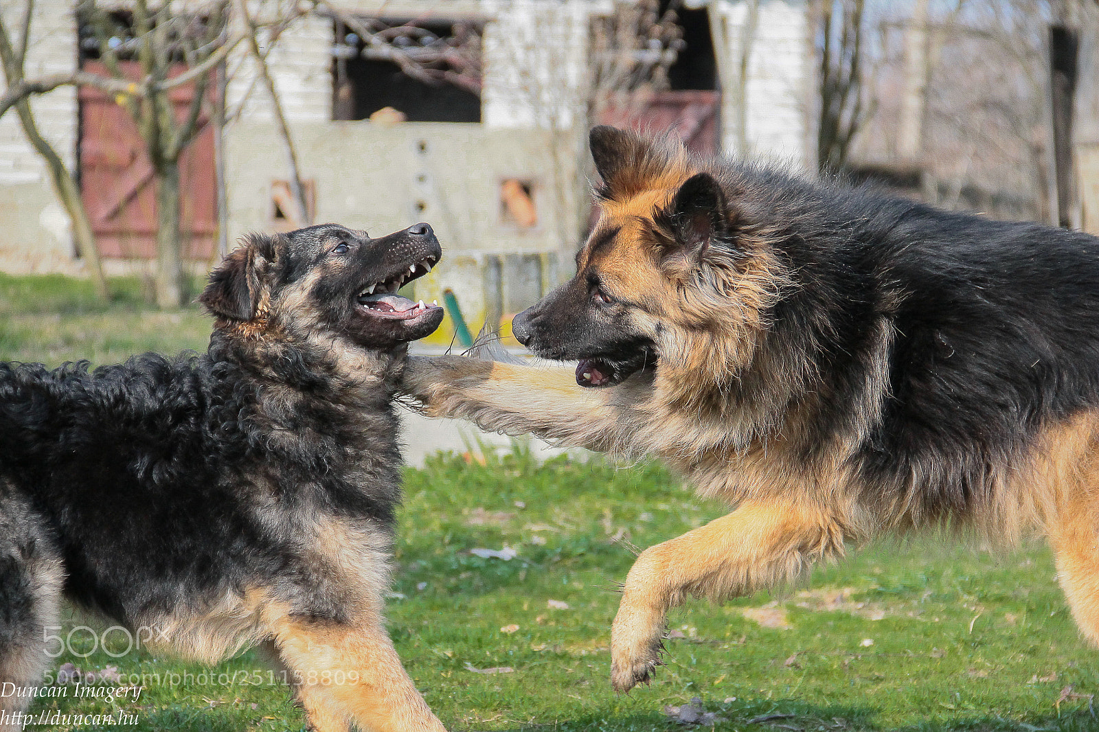 Canon EOS 1100D (EOS Rebel T3 / EOS Kiss X50) sample photo. Martial art lessons :-) photography