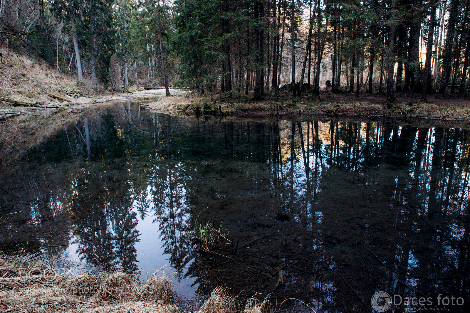 Sony SLT-A99V sample photo. .......... photography