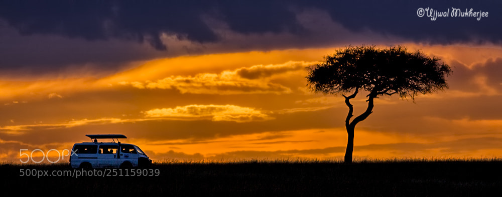 Canon EOS 50D sample photo. African safari photography