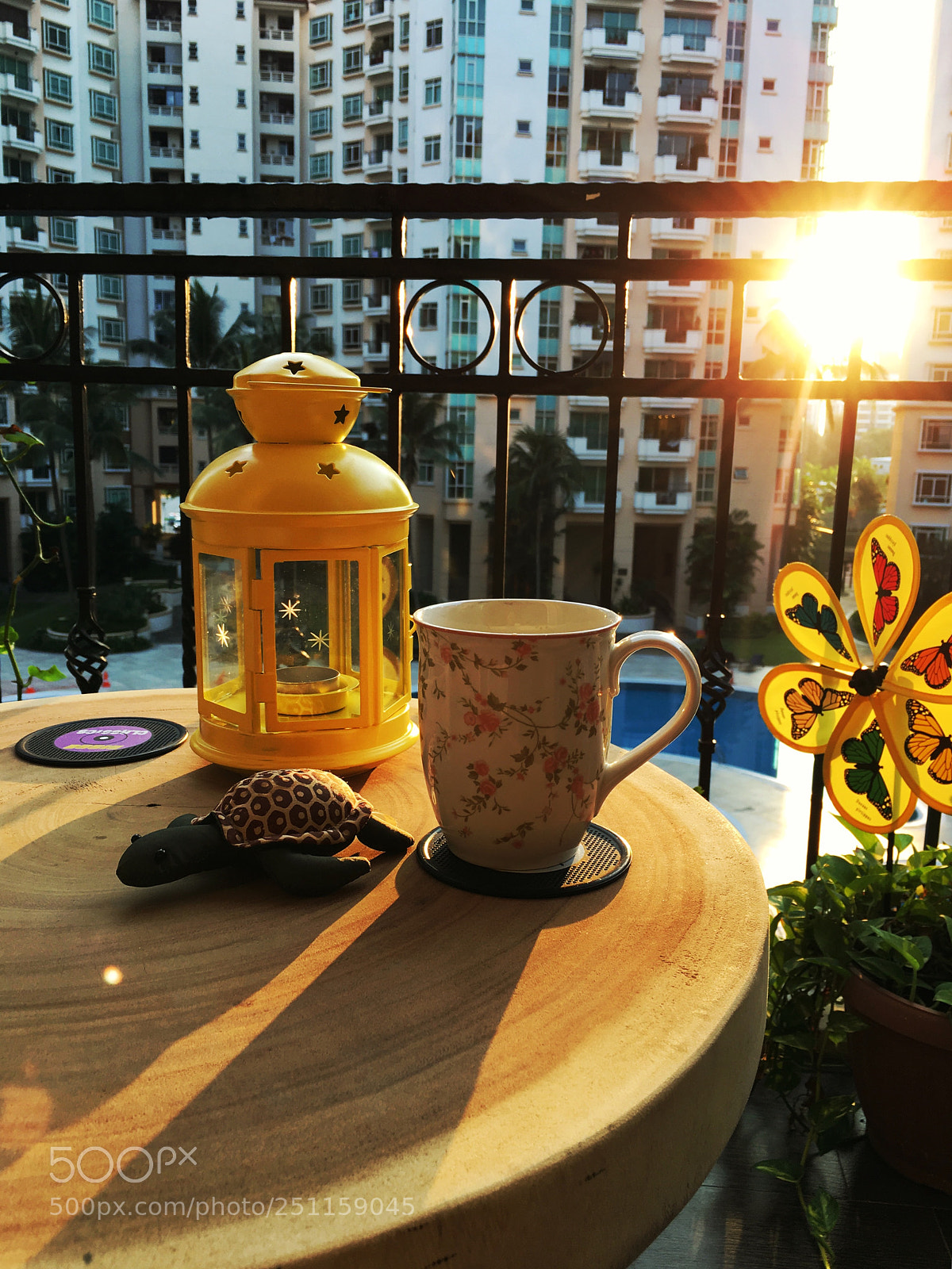 Apple iPhone 6s sample photo. Yellow is the new photography