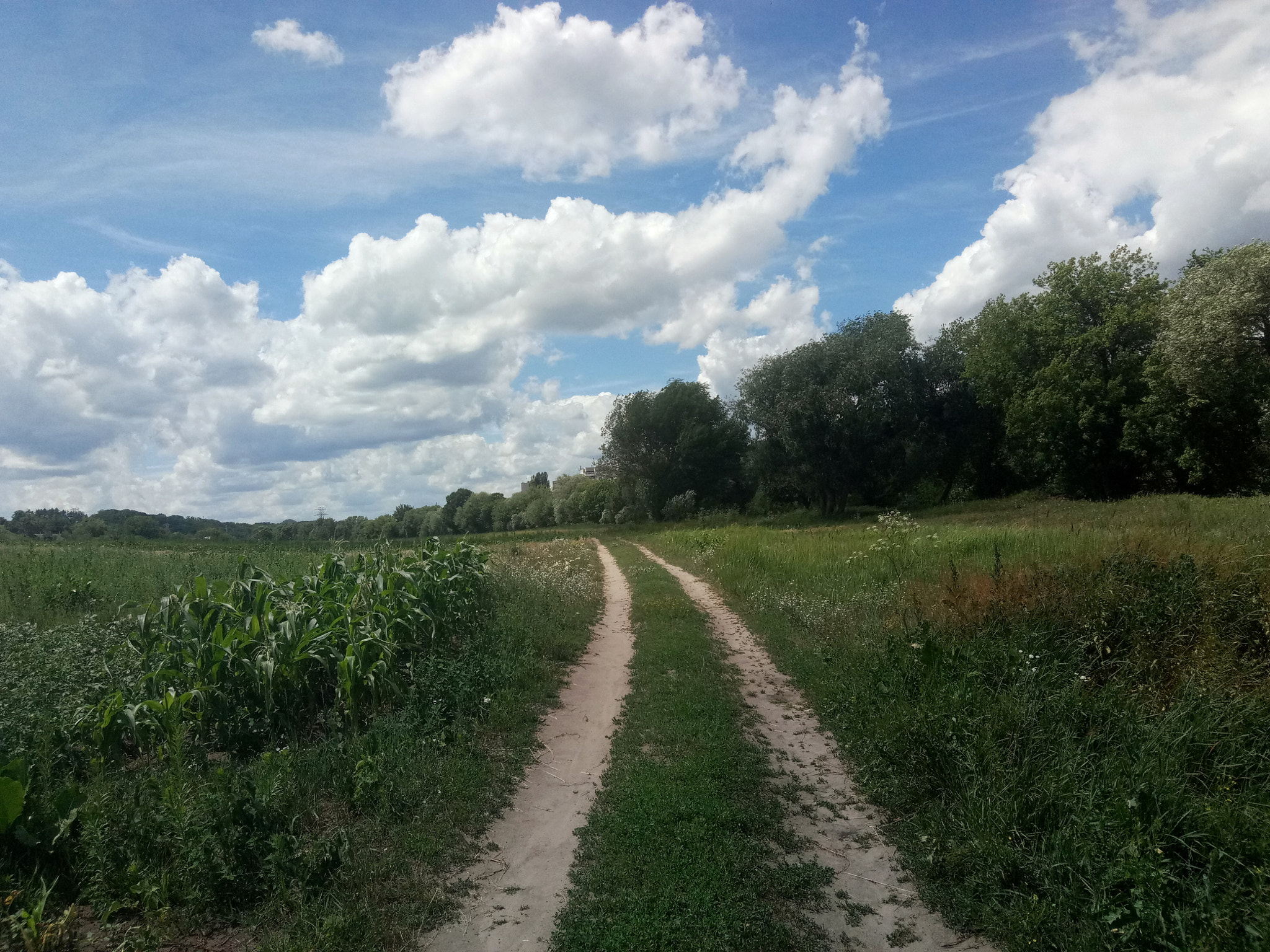 Meizu U20 sample photo
