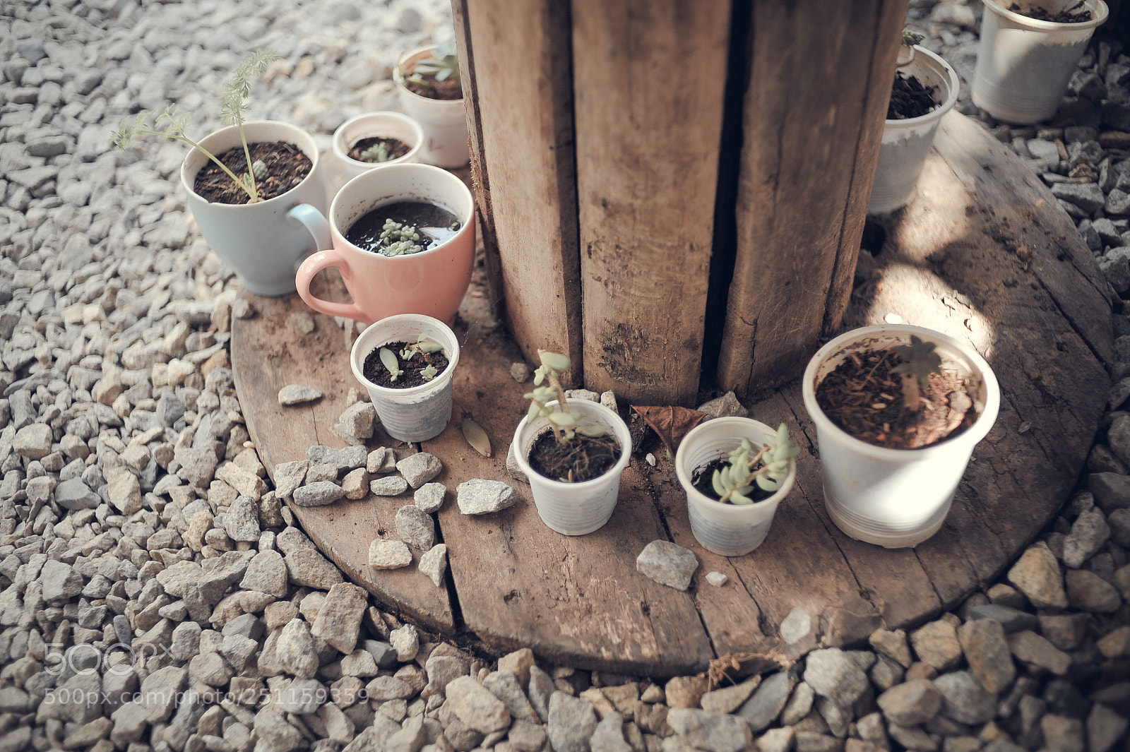Nikon D700 sample photo. Dalat photography