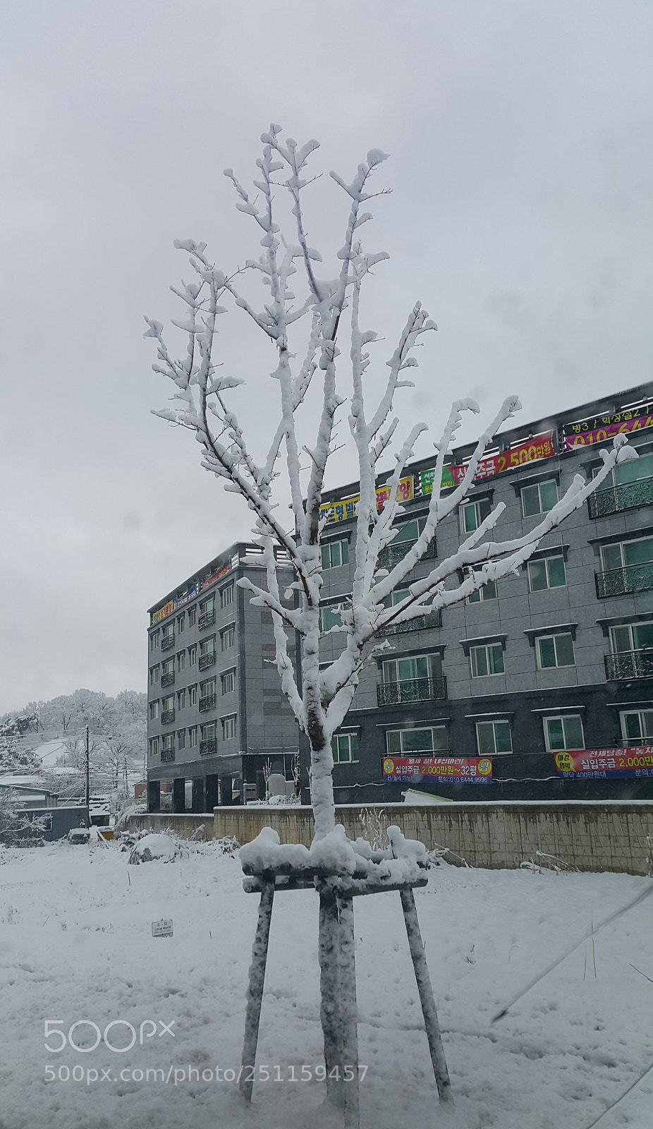 Samsung Galaxy Note4 sample photo. Winter-2 photography