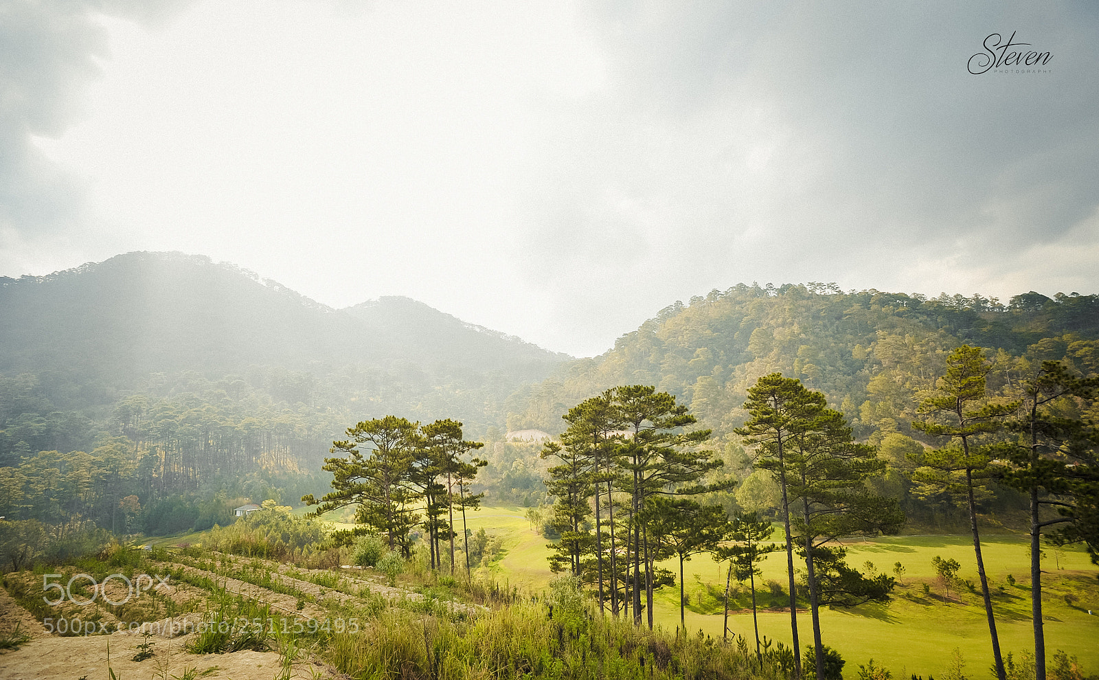 Nikon D700 sample photo. Dalat landscape photography