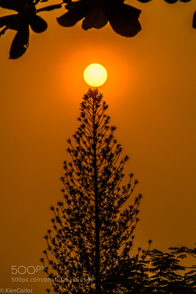 Nikon D850 sample photo. O ng ho mar photography