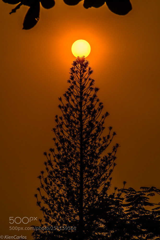 Nikon D850 sample photo. O ng ho mar photography