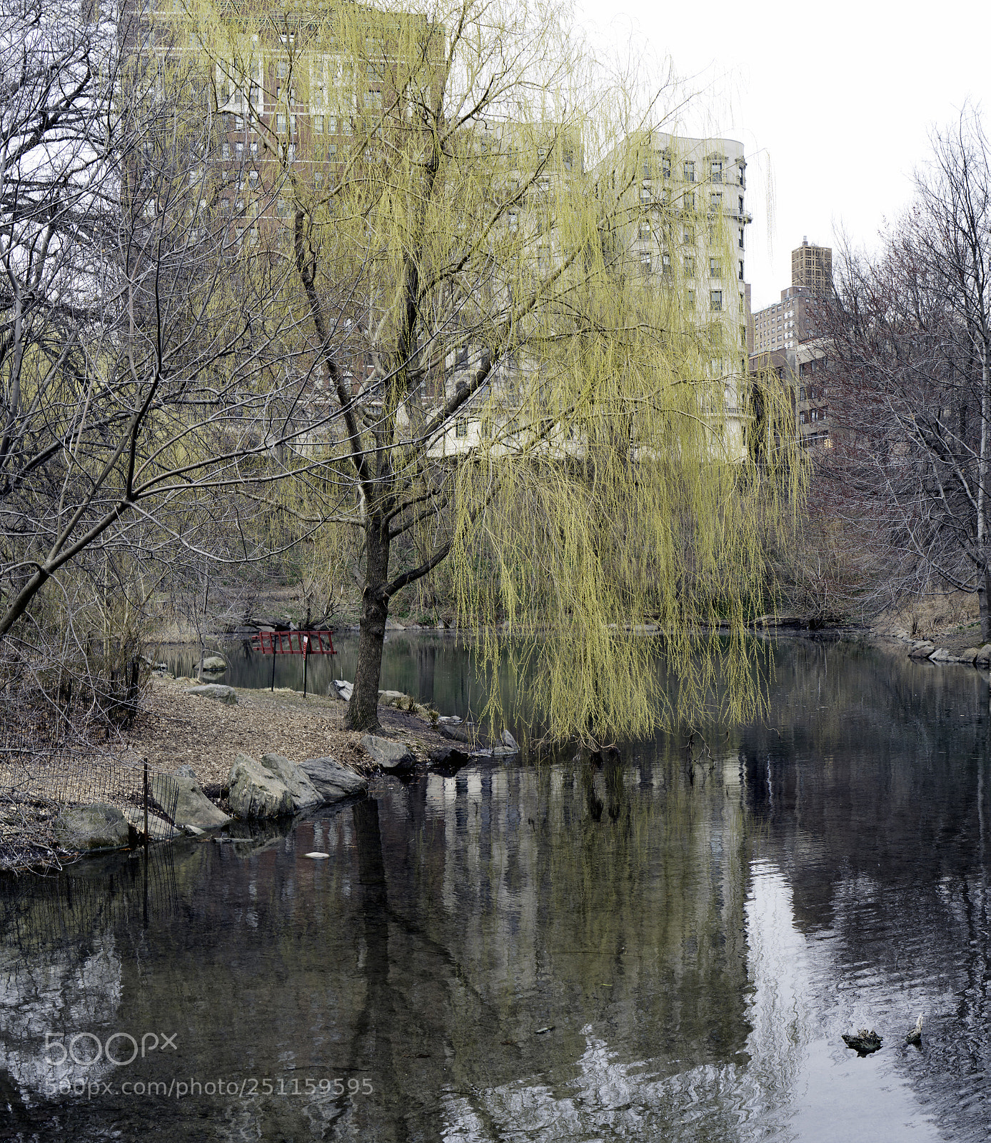 Sony a7R II sample photo. Willow's place photography