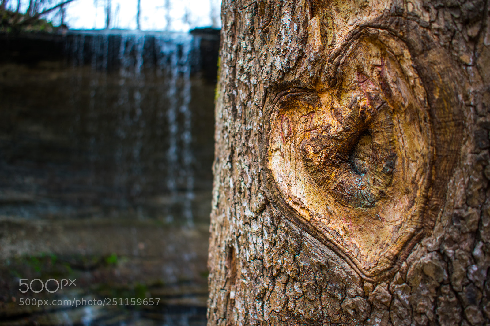 Nikon D3400 sample photo. Heart in knots photography