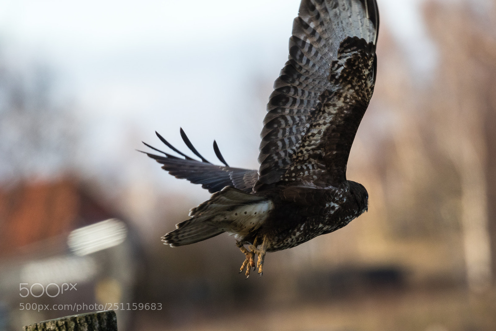 Canon EOS 7D Mark II sample photo. Just departed photography