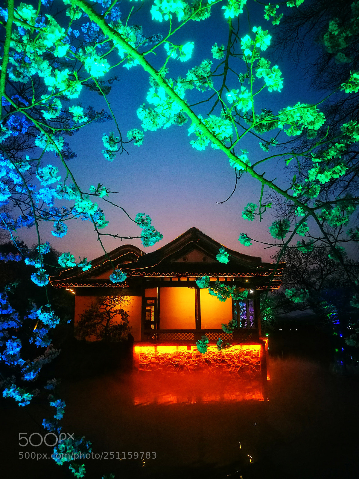 HUAWEI P9 sample photo. 多彩夜樱 photography