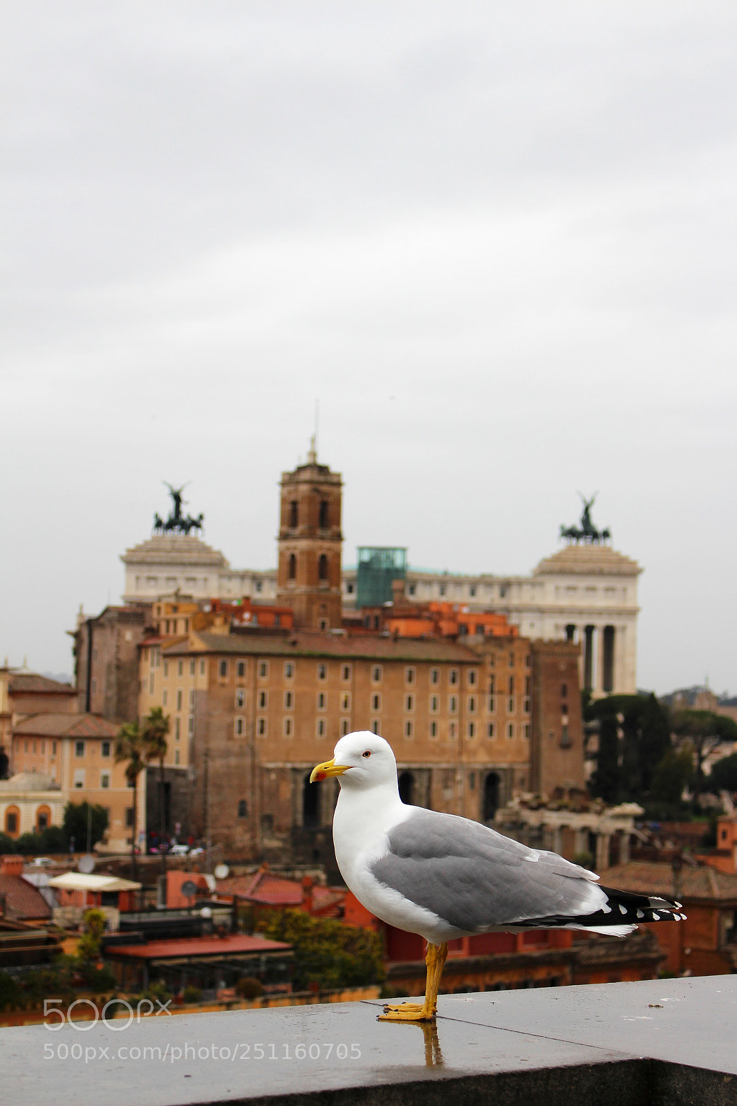Canon EOS 700D (EOS Rebel T5i / EOS Kiss X7i) sample photo. Rome trip photography
