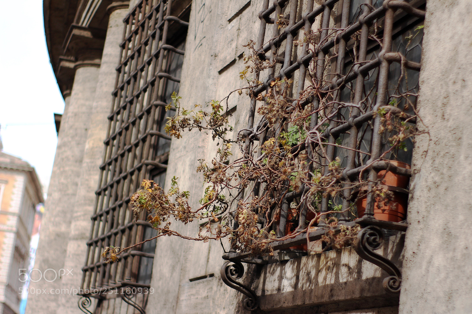 Canon EOS 700D (EOS Rebel T5i / EOS Kiss X7i) sample photo. Rome trip photography