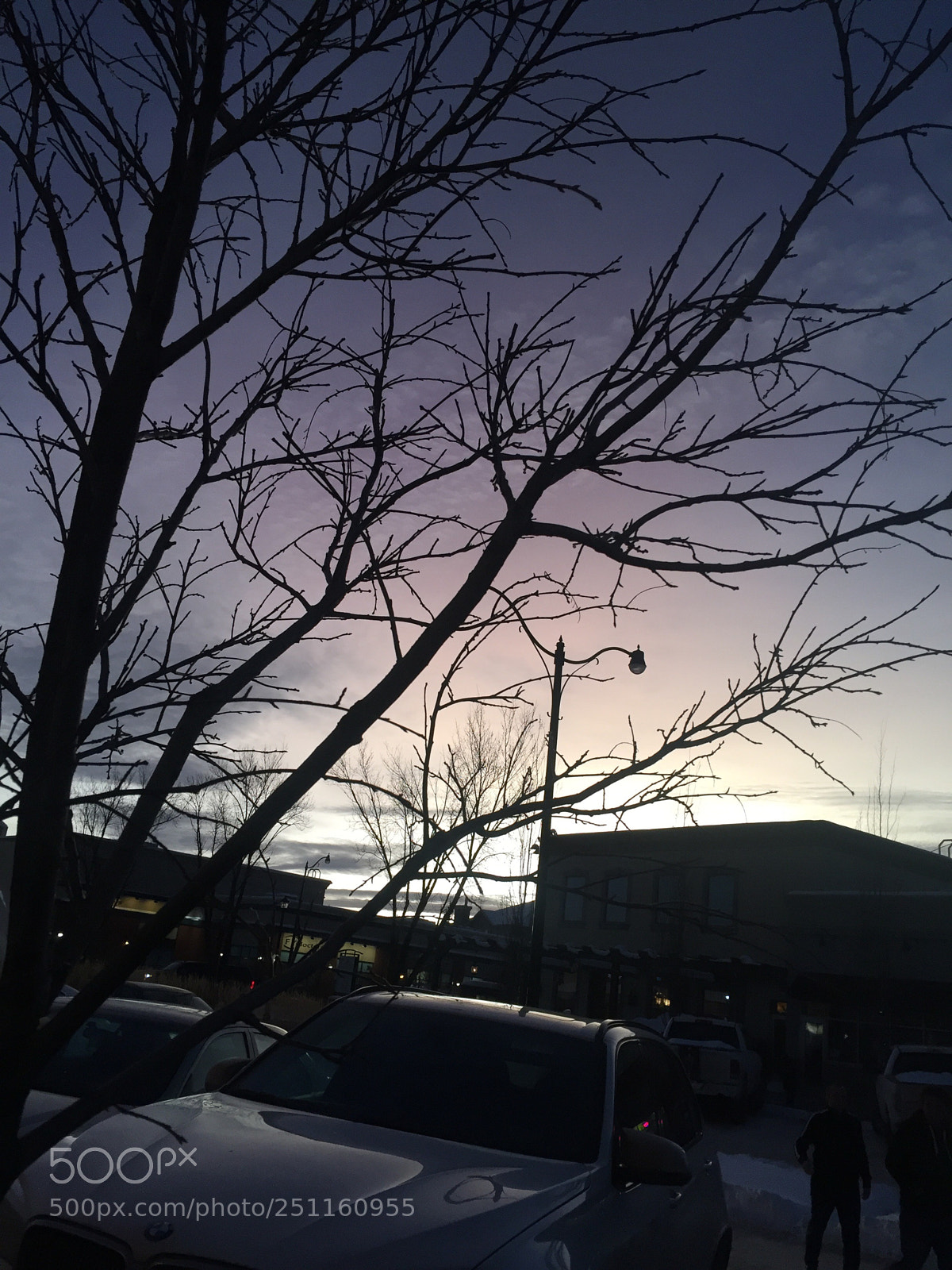 Apple iPhone 6 sample photo. Purple skys photography
