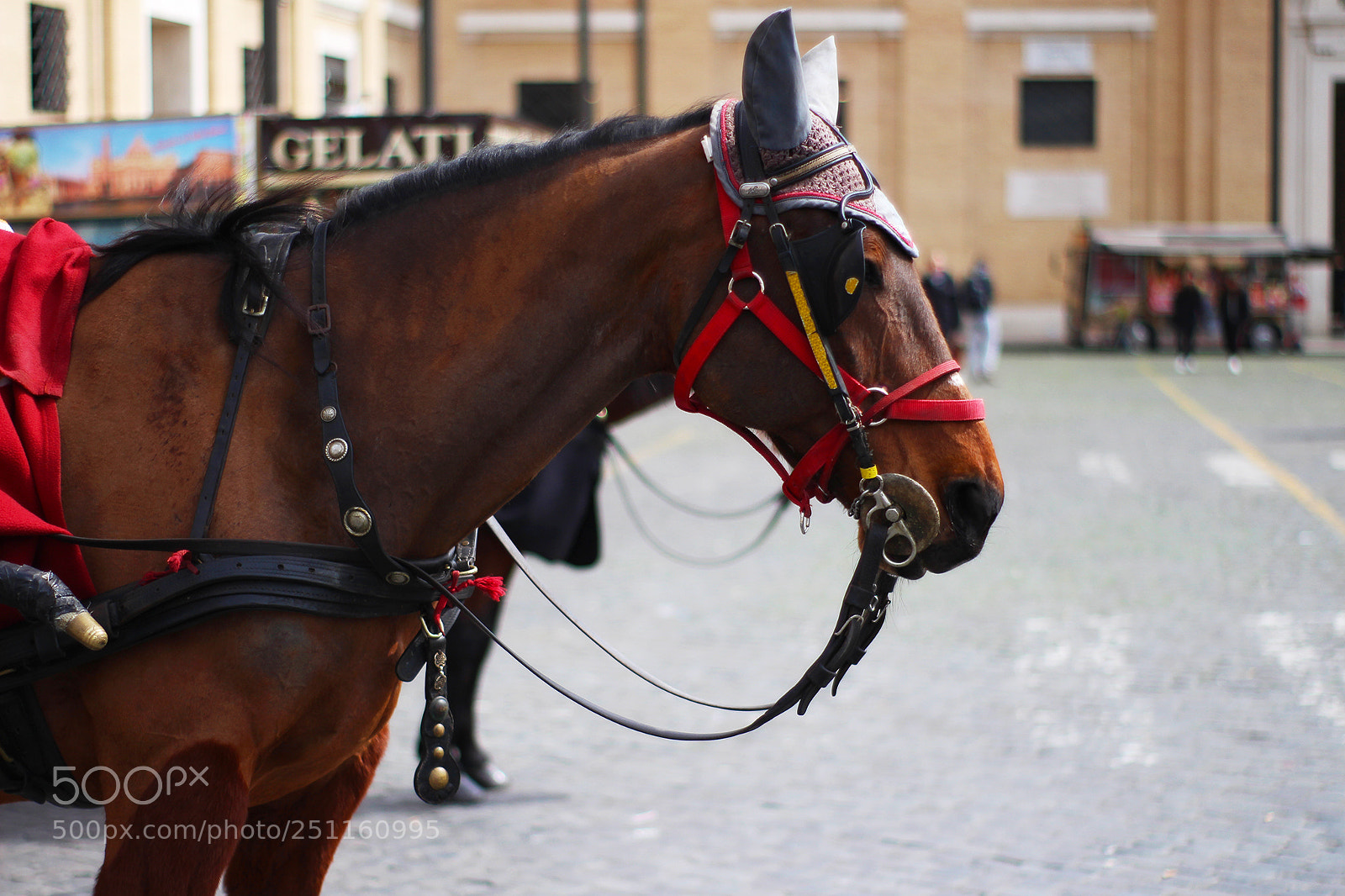 Canon EOS 700D (EOS Rebel T5i / EOS Kiss X7i) sample photo. Rome trip photography