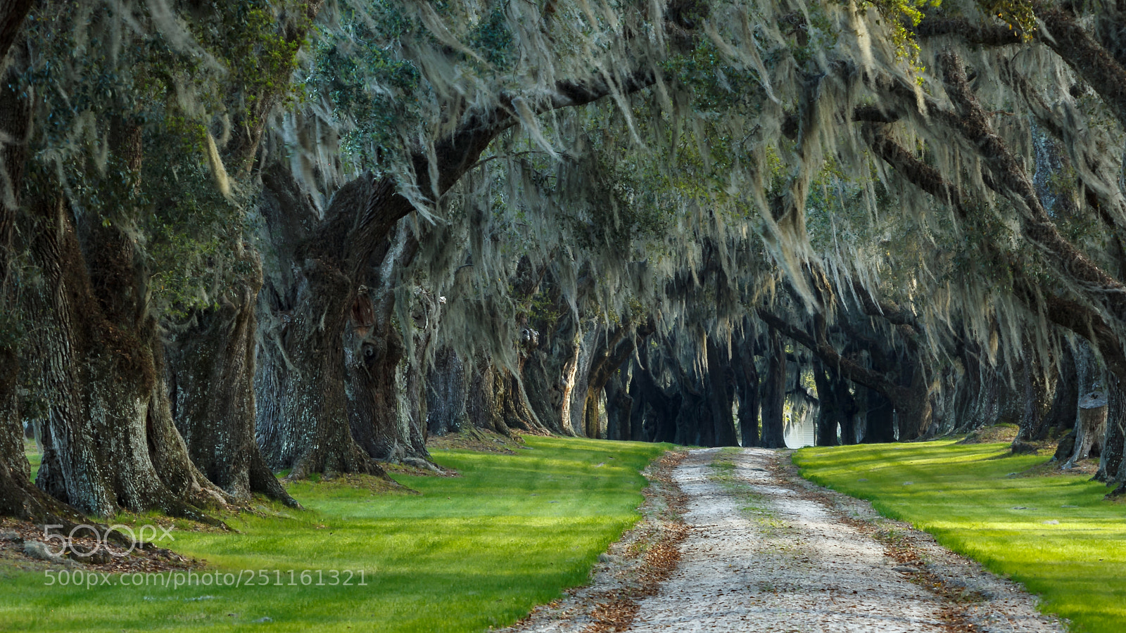 Canon EOS 60D sample photo. Charleston area photography