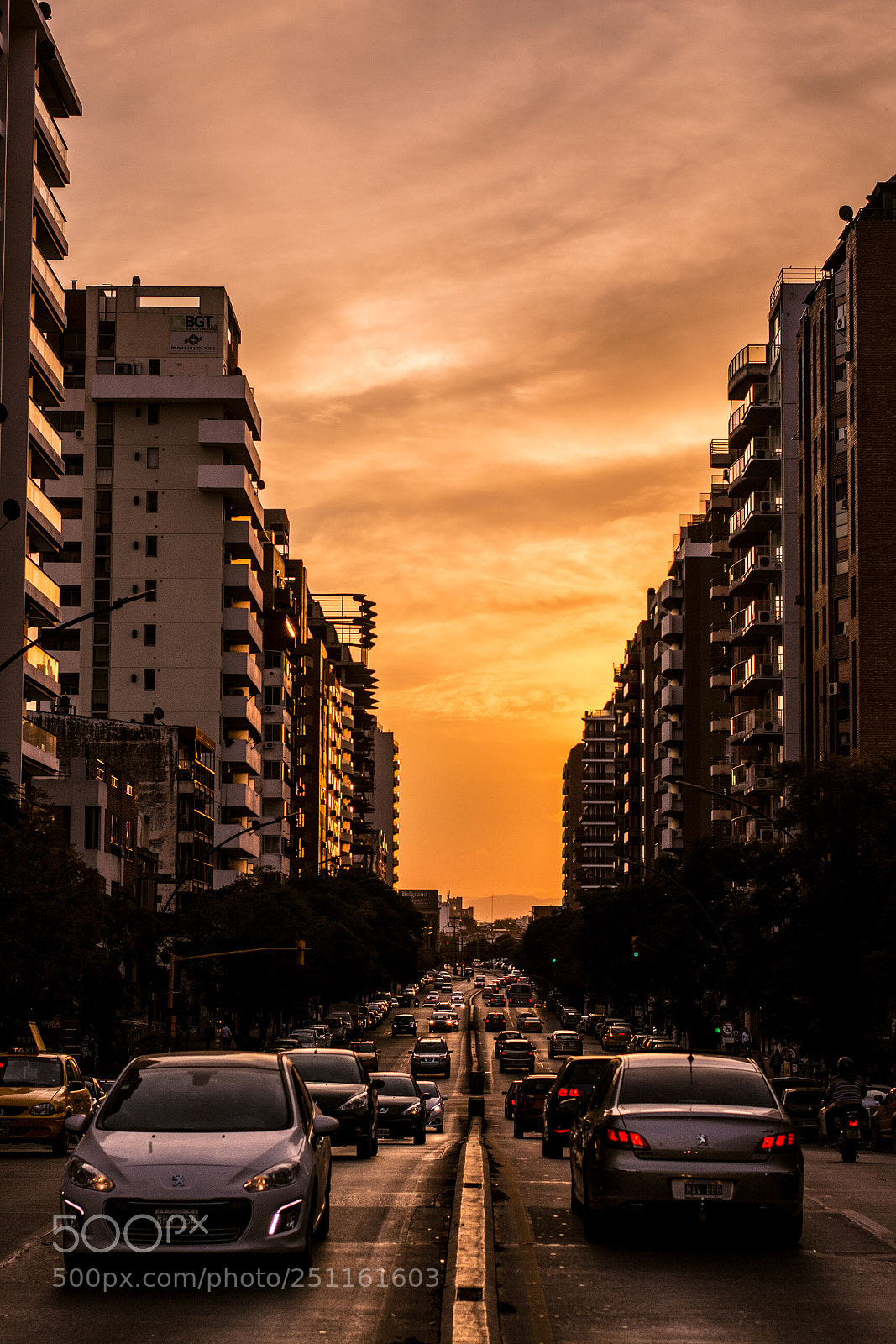 Nikon D5200 sample photo. Untitled photography