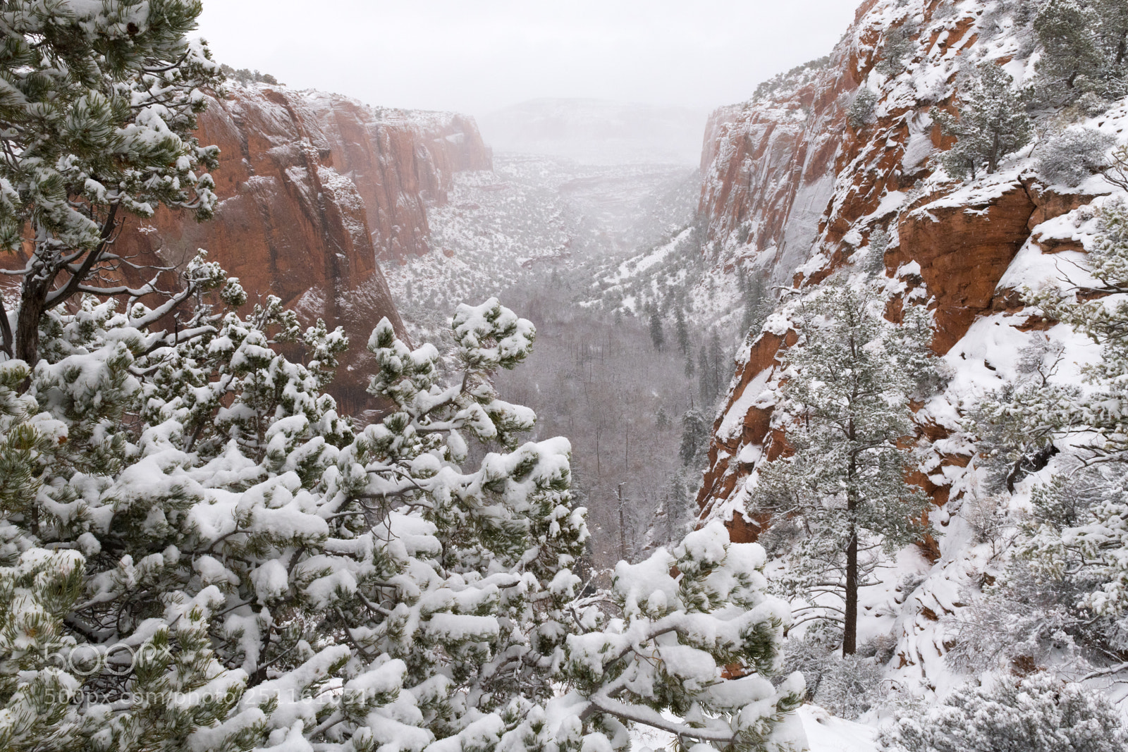 Nikon D850 sample photo. Betatakin canyon photography