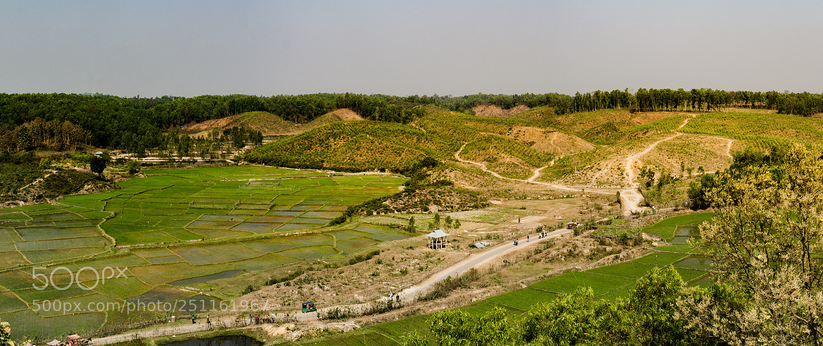 Nikon D5200 sample photo. Opinion photography