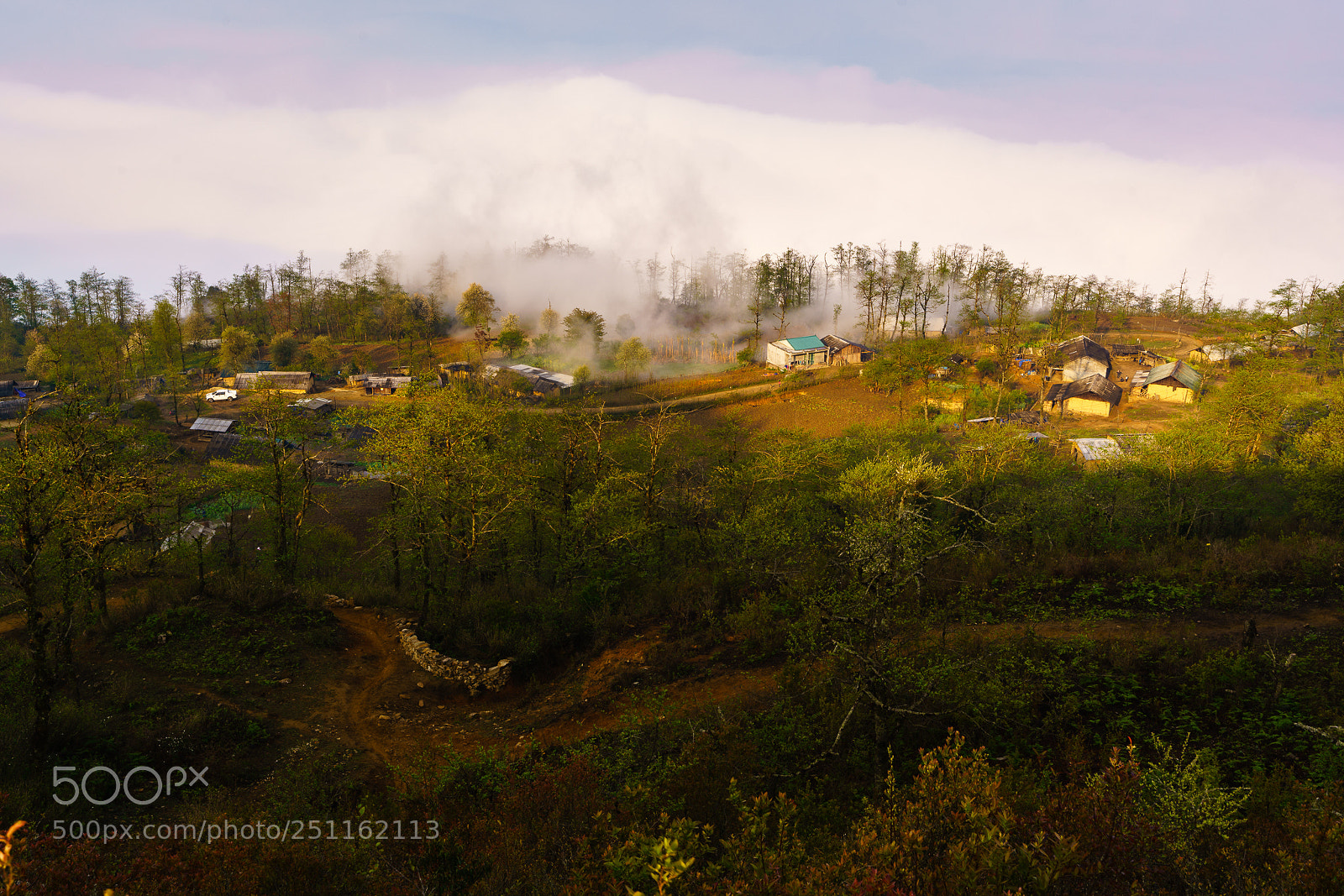 Sony a7R II sample photo. Morning light in ngai photography
