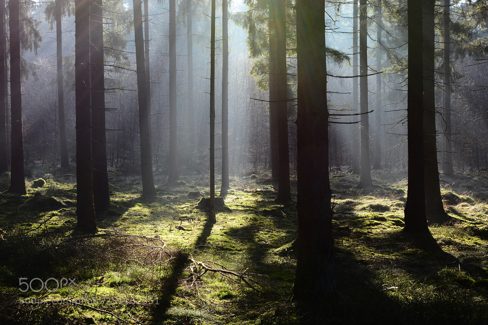 Nikon D5200 + Nikon AF-S DX Nikkor 35mm F1.8G sample photo. Morgensonne photography