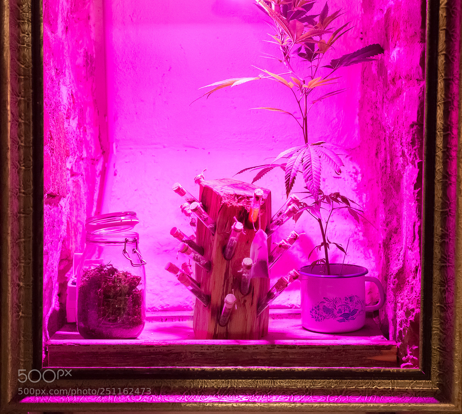 Nikon D600 sample photo. Cbd honigstock photography