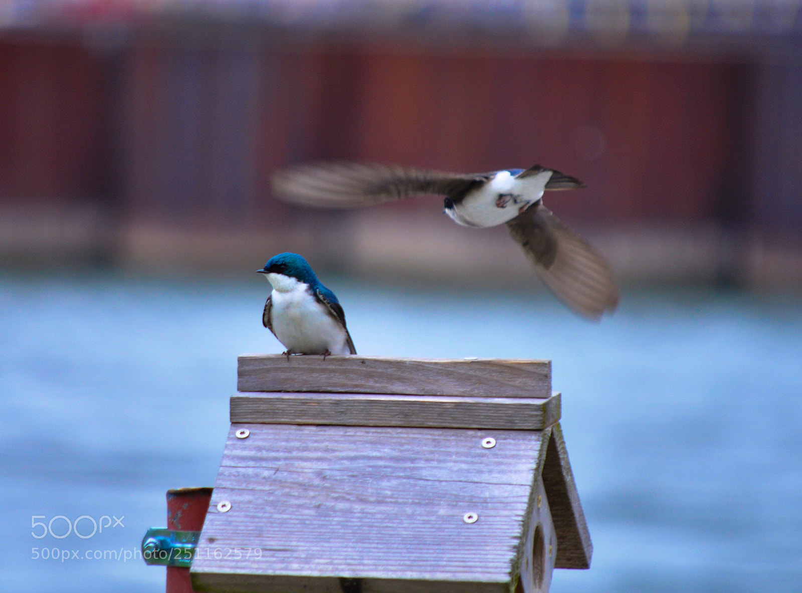 Nikon D90 sample photo. Untitled photography