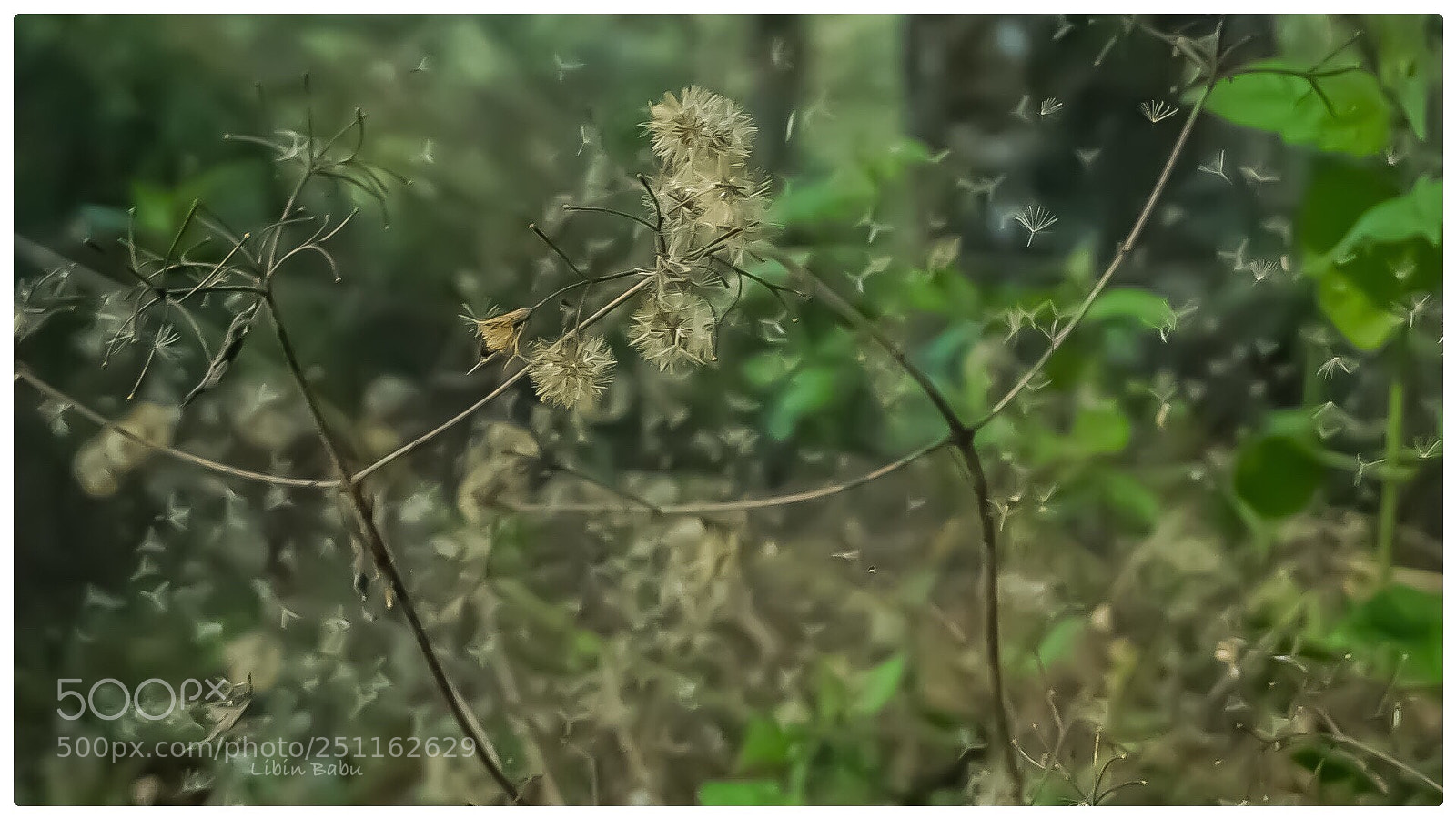 Sony a6000 sample photo. Untitled photography