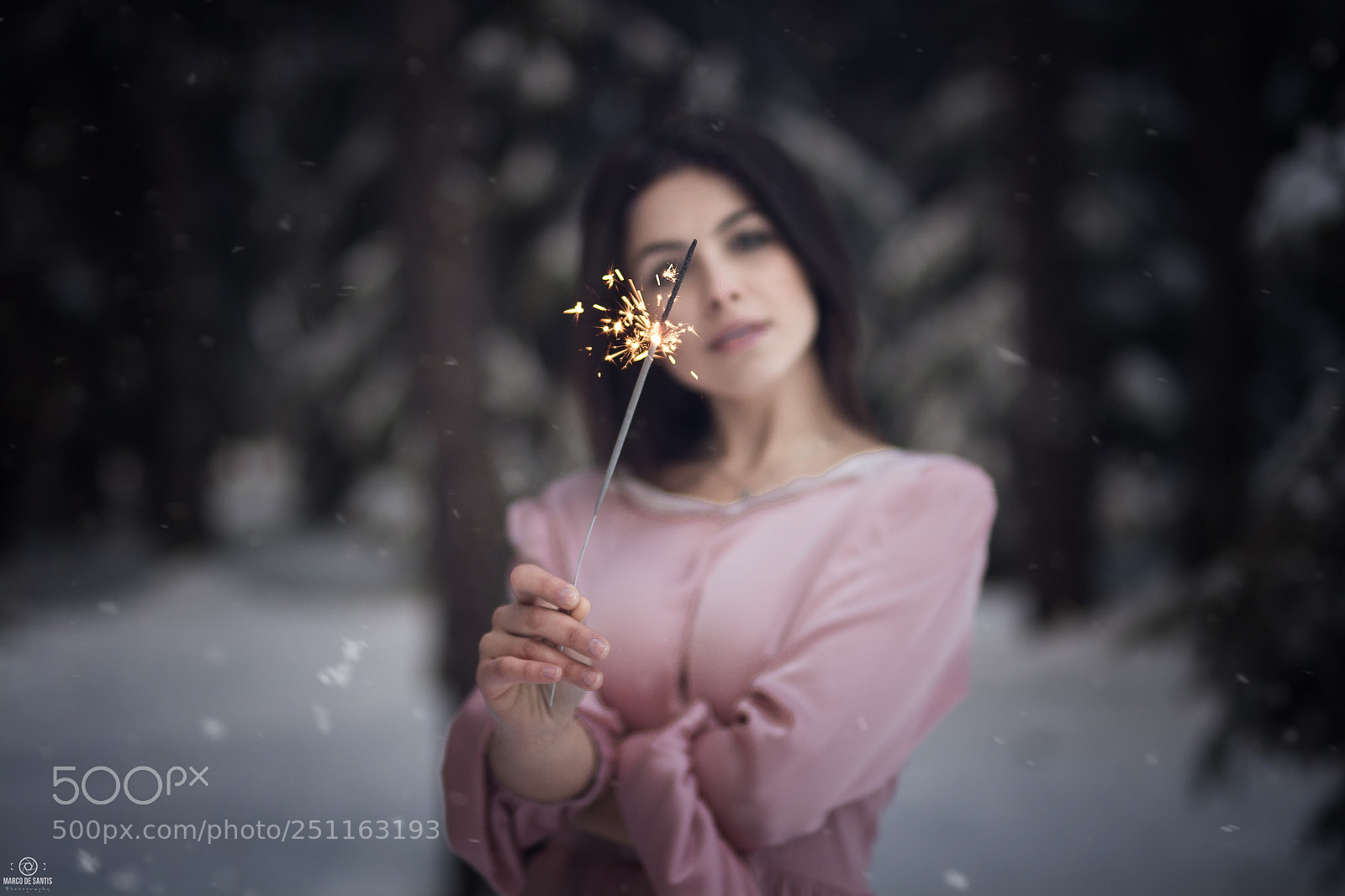 Nikon D7100 sample photo. Queen of the snow photography