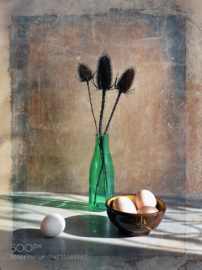 Nikon D7200 sample photo. Still life with eggs photography