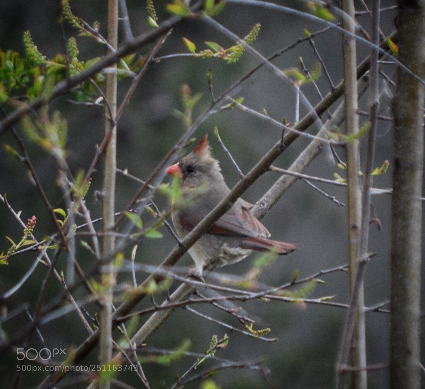 Nikon D90 sample photo. Untitled photography